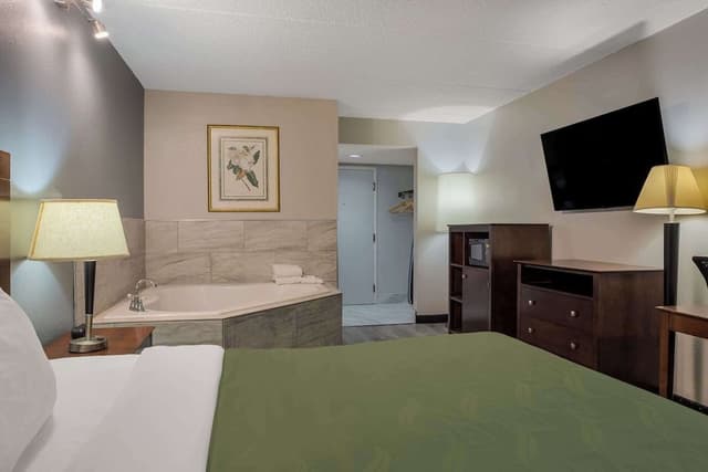 Suite, 1 King Bed with Sofa bed, Non Smoking (Upgrade)