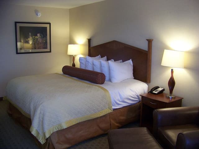 Executive Room, 1 King Bed (Pets Not Allowed)