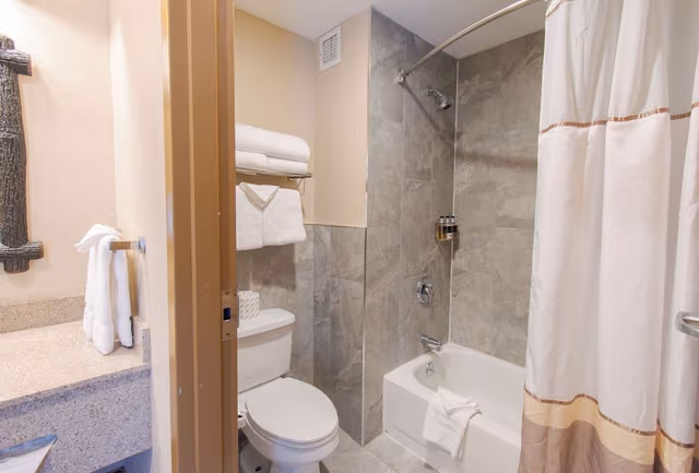 Room including Indoor Waterpark Access