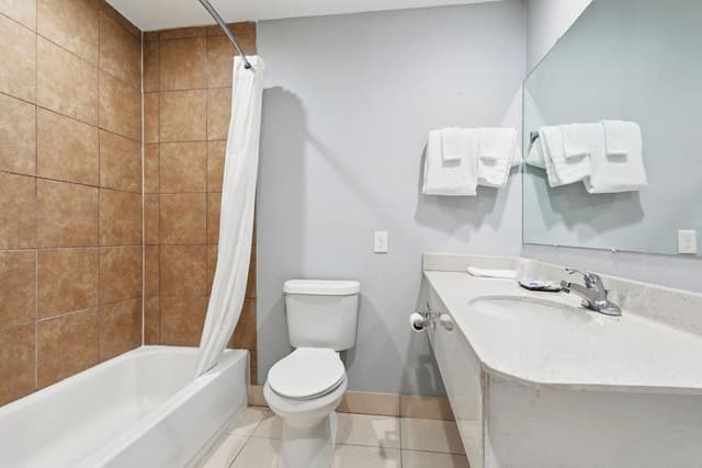 Room, 1 King Bed, Kitchenette