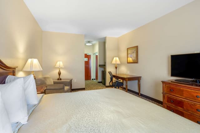 Standard Room, 1 King Bed, Accessible, Non Smoking