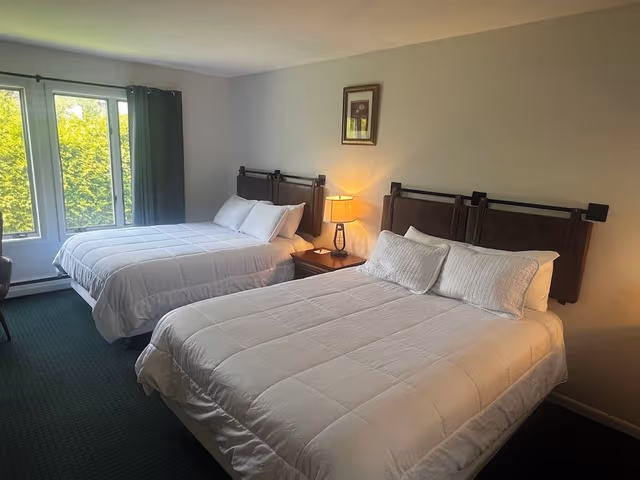 Deluxe Efficiency, 2 Queen Beds, Fireplace