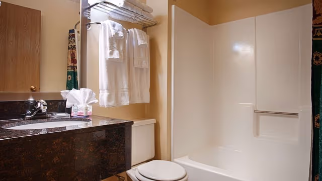 Standard Room, 1 King Bed, Accessible, Bathtub