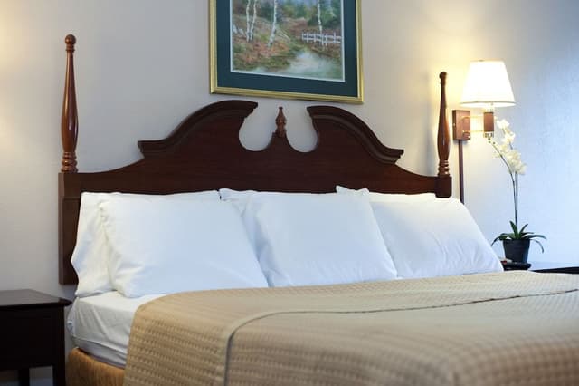 Standard Room, 1 King Bed, Non Smoking