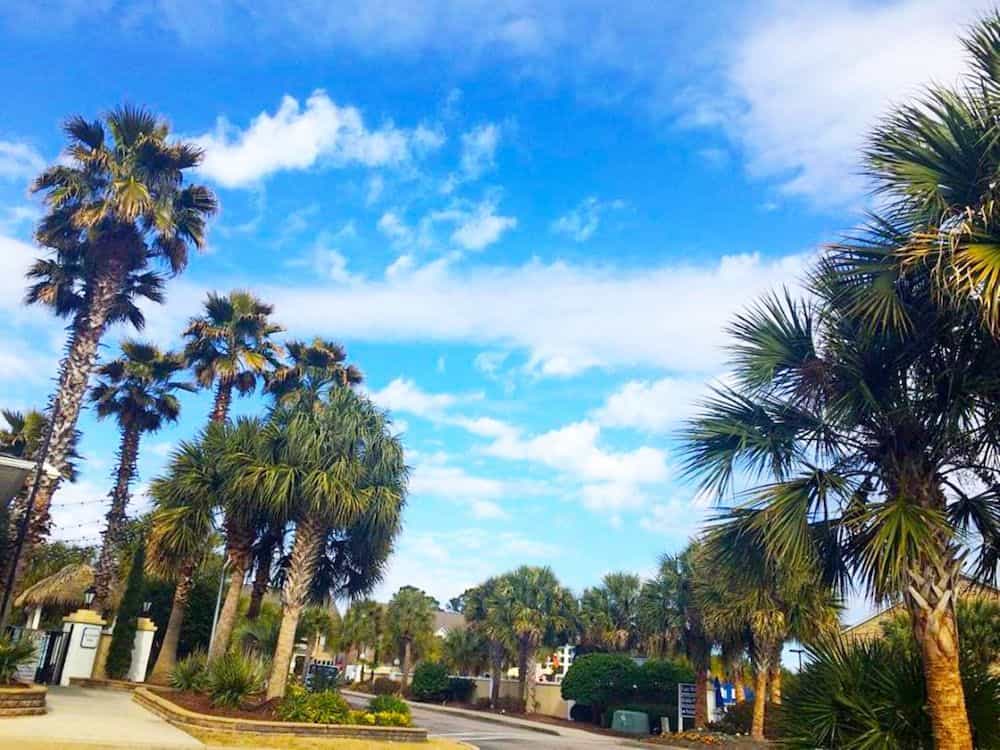 PLANTATION RESORT