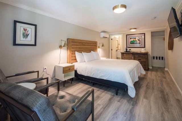 Studio, 1 King Bed