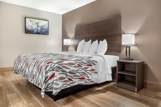 Deluxe Room, 1 King Bed, Accessible, Non Smoking