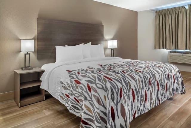 Superior Room, 1 King Bed, Non Smoking (w/ Bunk Beds)