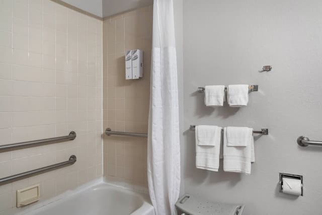 Deluxe Room, 1 King Bed, Accessible, Non Smoking