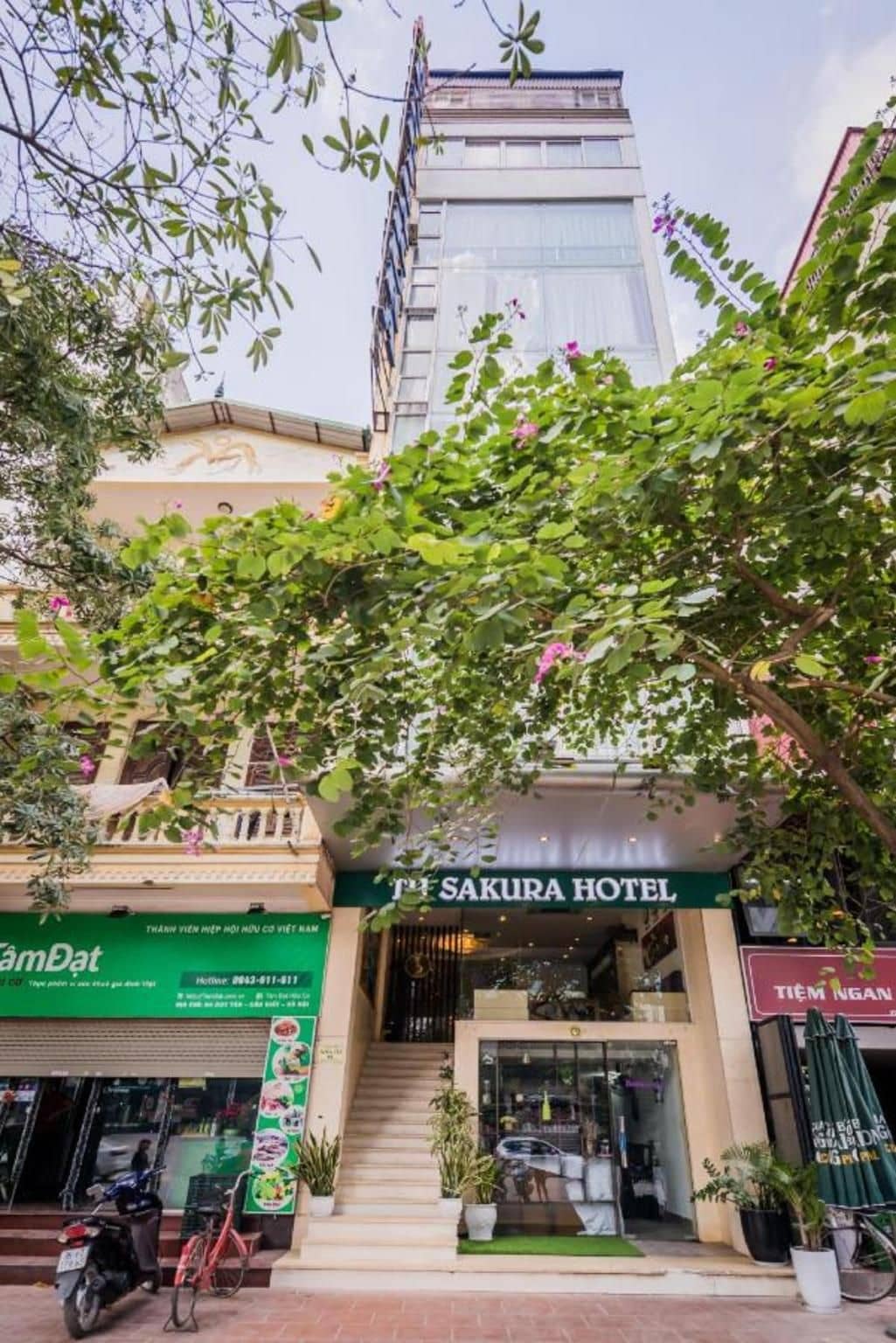 Tu Sakura Hotel Tu Sakura Hotel