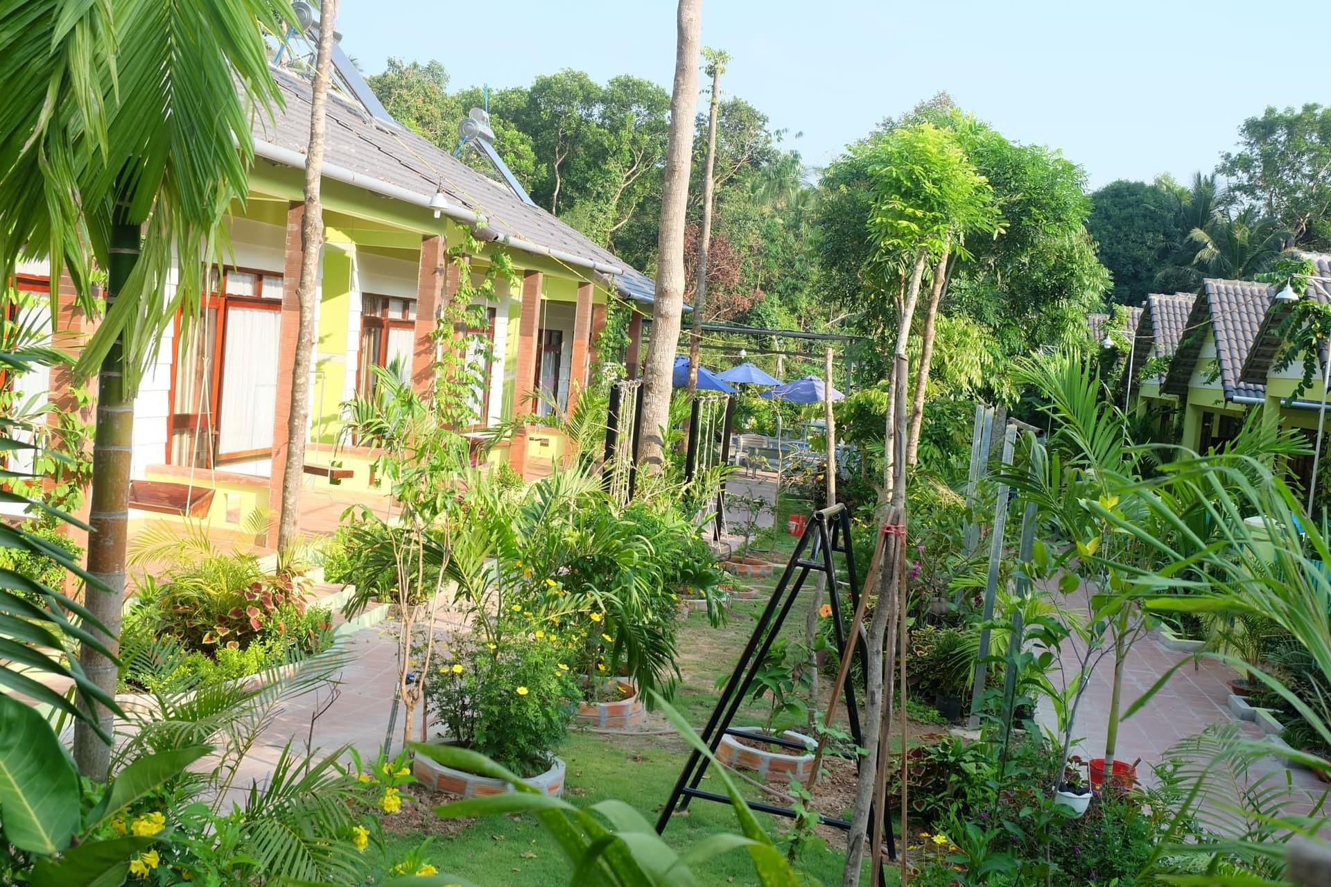Bungalow Mai Phuong Binh Bungalow Mai Phuong Binh