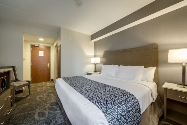 Standard Room with 1 queen bed