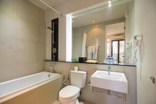 1 Bedroom Suite