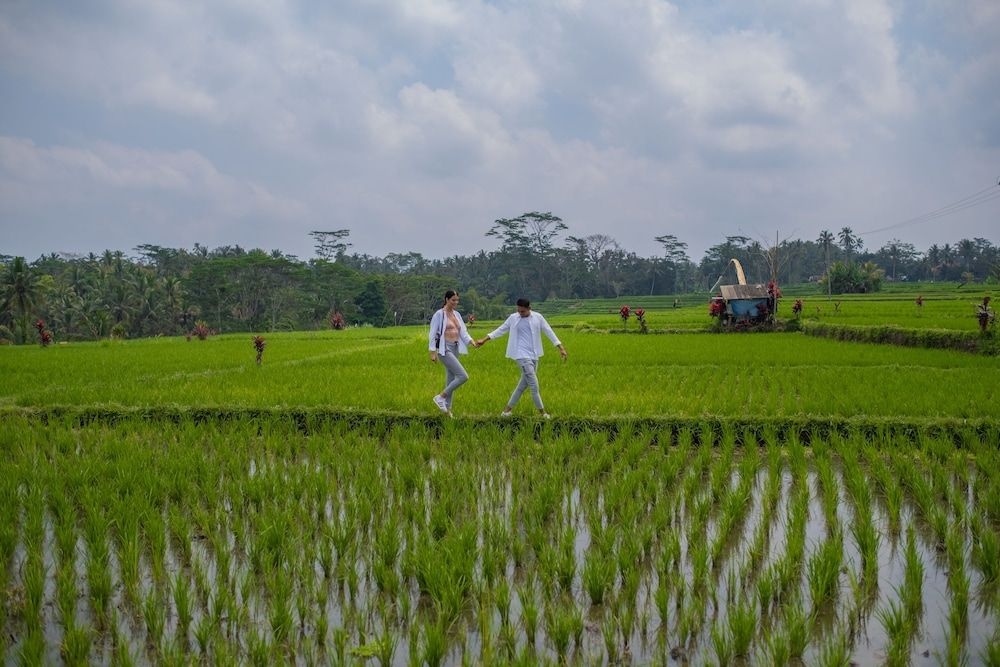 Puri Wulandari4