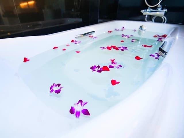 Junior Studio Suite