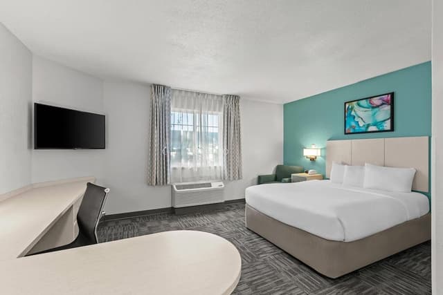 Room, 1 Queen Bed, Accessible, Non Smoking (Roll-In Shower)