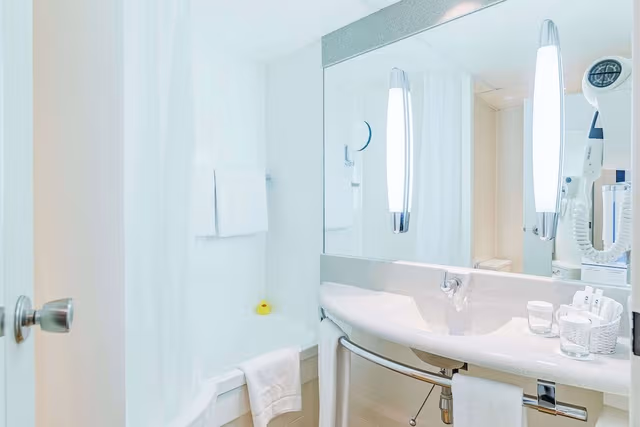 Comfort Room, 1 Double Bed