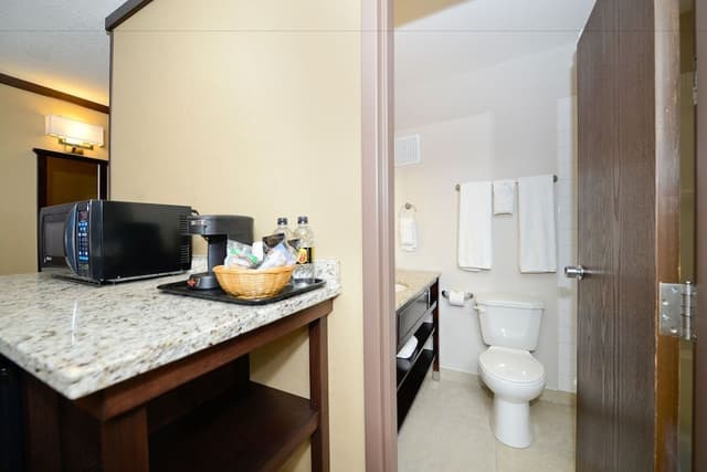 Suite, 1 King Bed