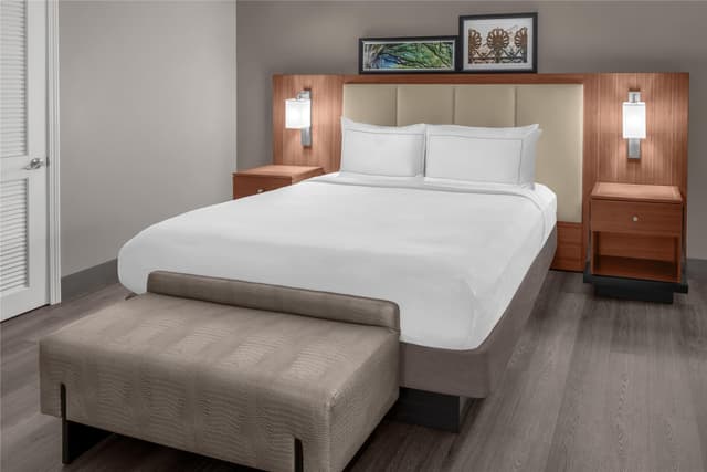 1 KING BED JUNIOR SUITE