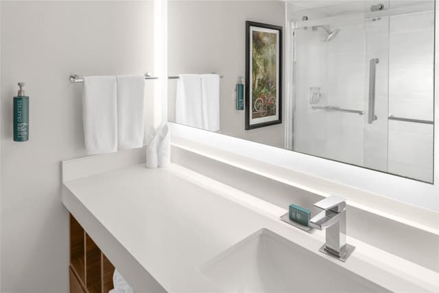 1 KING BED WITH CITY OR RIVER VIEW