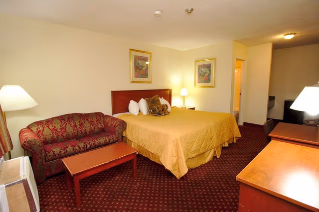 Standard Room, 1 King Bed with Sofa bed
