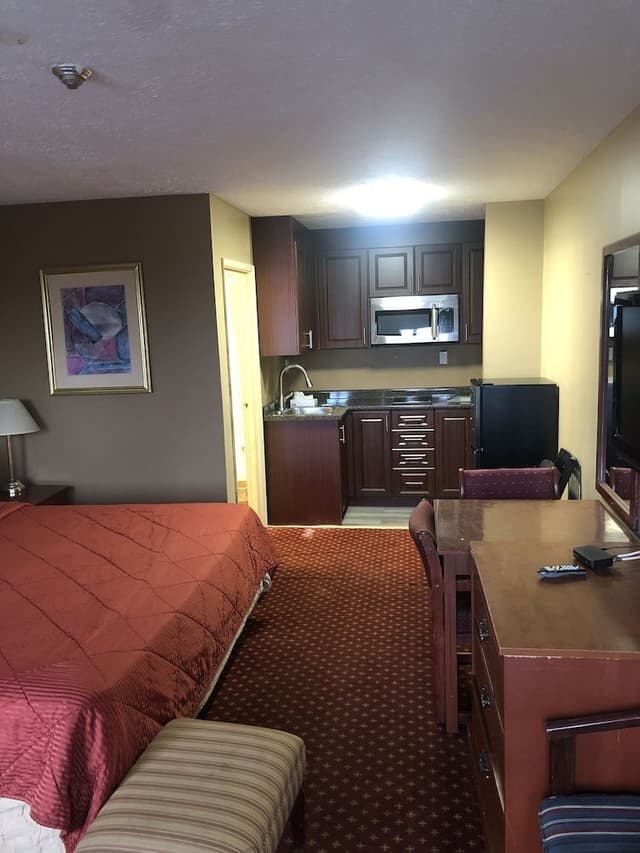 Classic Studio, 1 Bedroom