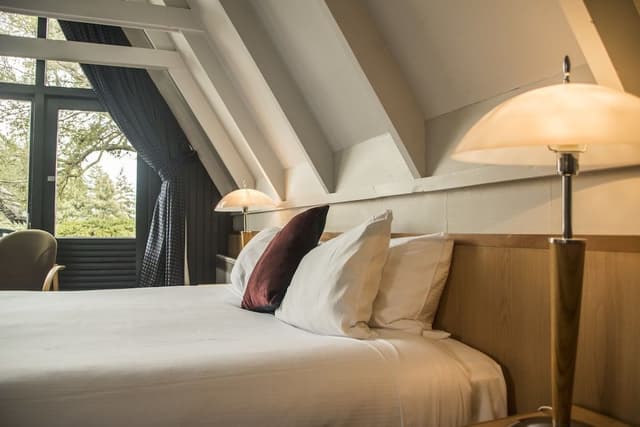 Chalet Studio King View Room