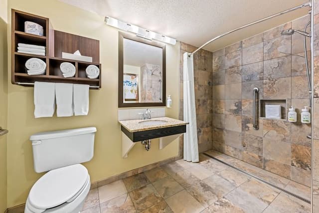 Accessible Room, King Bed, Non Smoking