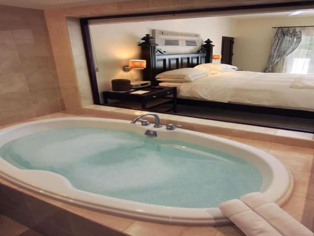 Junior Suite Tropical View