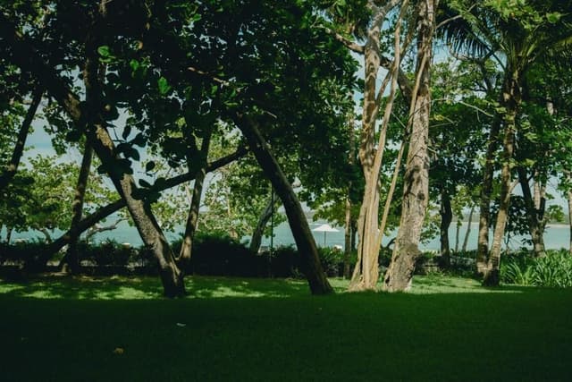 Junior Suite Lanai