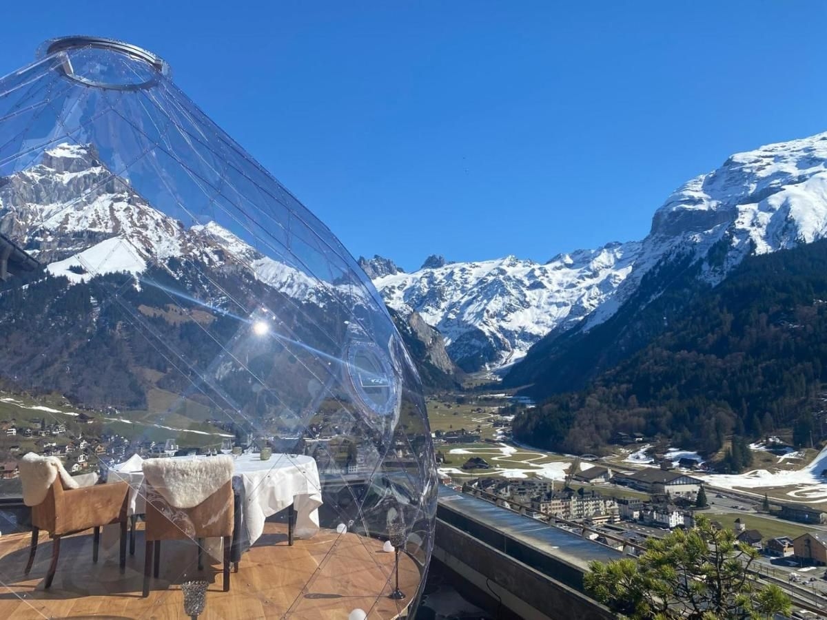 Hotel Waldegg4