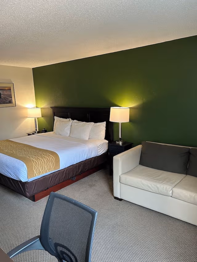 Room, 1 King Bed, Non Smoking