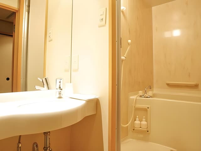 Standard Japanese Style