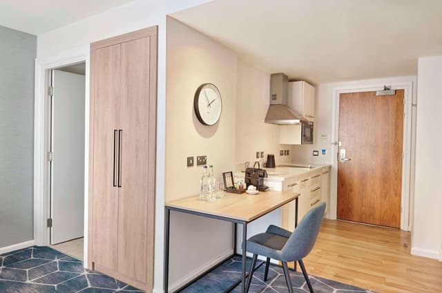 Studio, 1 King Bed, Kitchenette, Park View