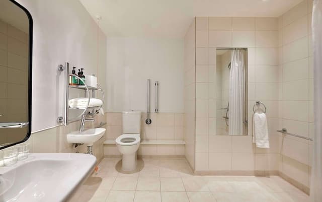 Studio, 1 King Bed, Accessible, Kitchenette