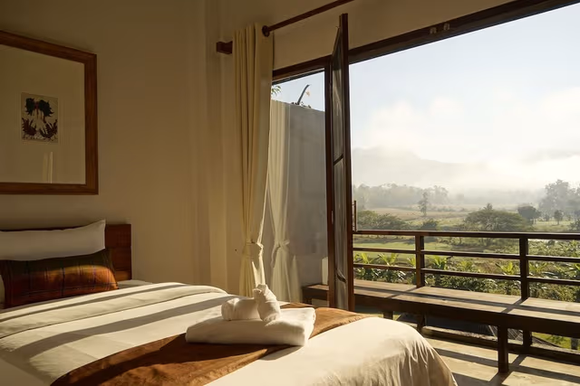 Deluxe Double or Twin Room, Mountain View