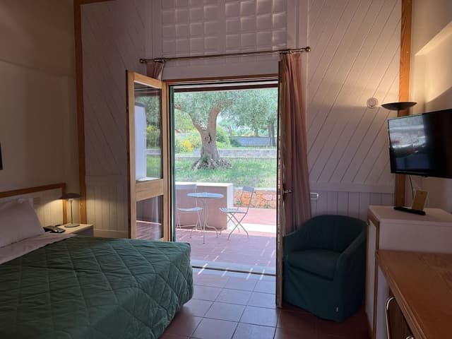 Deluxe Double Room, Terrace