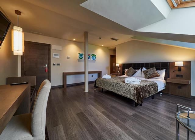 Superior Queen Room
