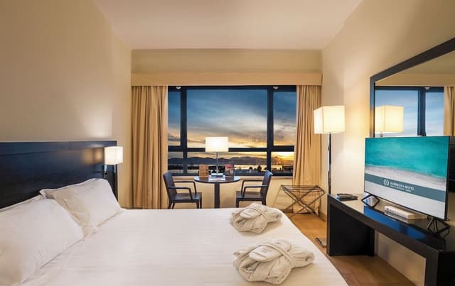 Superior Room, 1 Double Bed