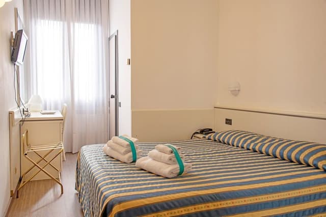 Business Double Room (Large)