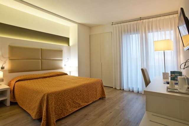 Deluxe Double Room Single Use