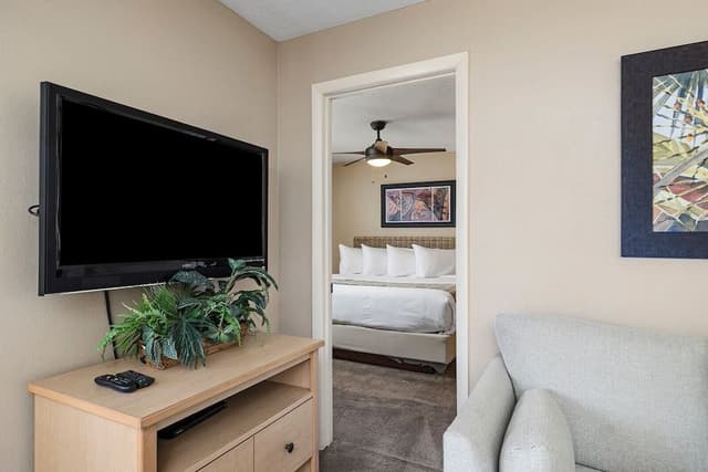 Deluxe Condo, 2 Bedrooms, Kitchen