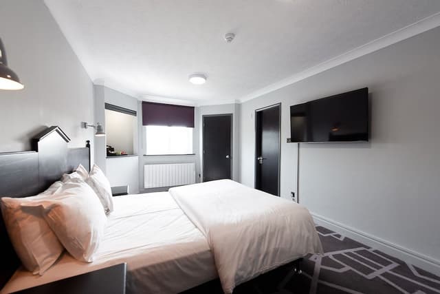 King Room, 1 King Bed