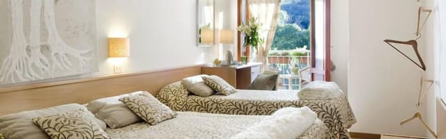 Classic Single Room