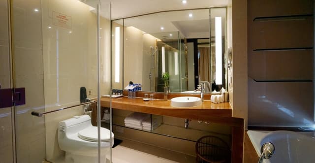Diplomatic Suite, 2 Bedroom Presidential Suite, City view