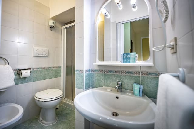 Classic Double or Twin Room