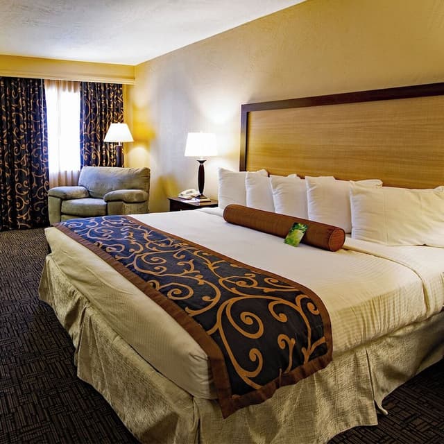Standard Room, 1 King Bed, Refrigerator & Microwave
