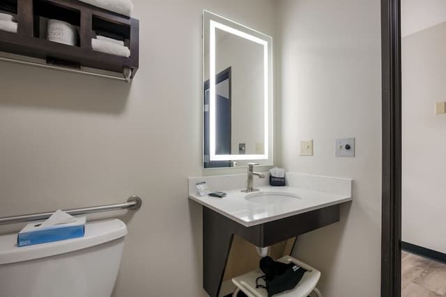 Standard Room, 1 Queen Bed, Accessible