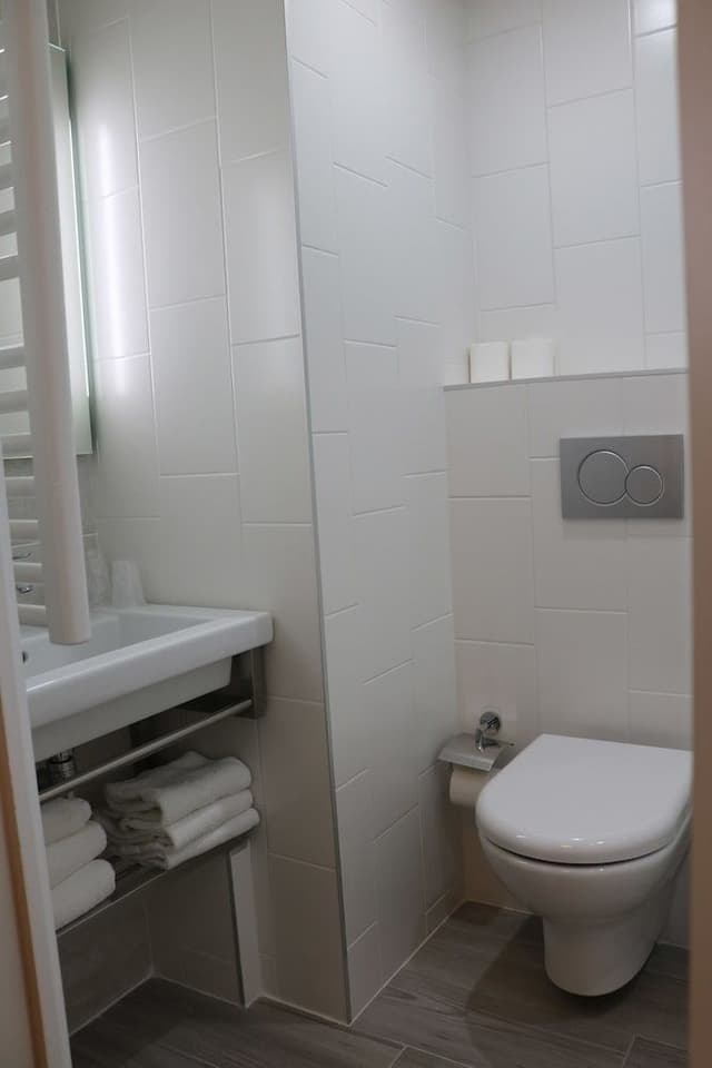 Triple Room (Mouton Blanc)