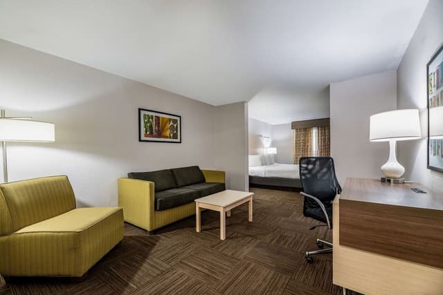 Suite, 1 King Bed, Non Smoking